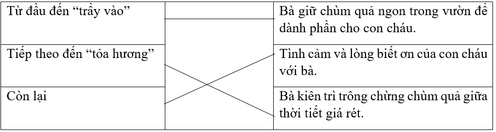 Nối các phần với nội dung chính.Từ đầu đến “trẩy vào”Bà giữ chùm quả ngon trong vườn để dành phần cho con cháu.Tiếp theo đến “tỏa hương”Tình cảm và lòng biết ơn của con cháu với bà.Còn lạiBà  (ảnh 2)