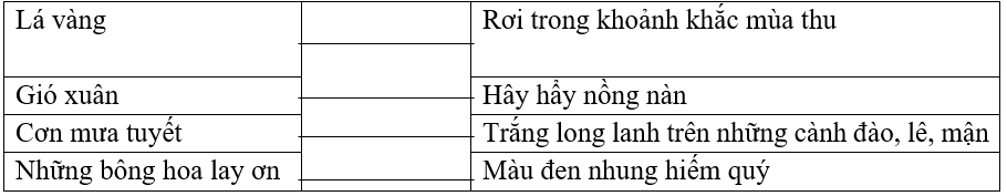 Nối sự vật với đặc điểm tương ứng.Lá vàngRơi trong khoảnh khắc mùa thuGió xuânHây hẩy nồng nànCơn mưa tuyếtTrắng long lanh trên những cành đào, lê, mậnNhững bông hoa lay ơnMàu đen nhung hiếm  (ảnh 1)