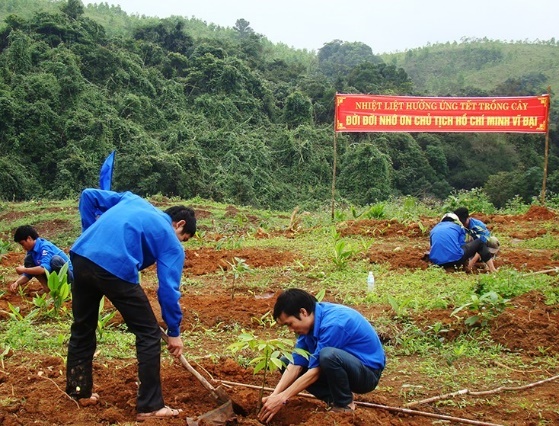 Hình ảnh nào không thể hiện hoạt động bảo vệ môi trường? (ảnh 1)