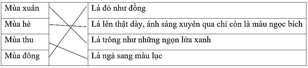 Nối tên mùa tương ứng với đặc điểm của lá bàng trong đoạn văn.Mùa xuânLá đỏ như đồngMùa hèLá lên thật dày, ánh sáng xuyên qua chỉ còn là màu ngọc bíchMùa thuLá trông như những ngọn lửa xanhMù (ảnh 1)