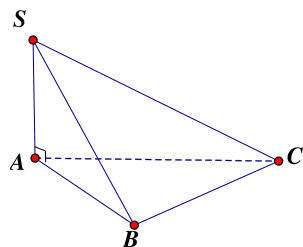 Cho hình chóp  S . A B C  có  S A ⊥ ( A B C ) , góc giữa  S B  và mặt phẳng  ( A B C )  là. (ảnh 1)