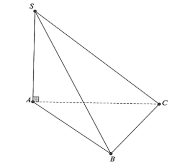 Cho hình chóp  S . A B C  có đáy là tam giác vuông cân tại  B ,  S A ⊥ ( A B C ) , A B = B C = a ,  S A = a √ 3 .  a)  B C ⊥ ( S A B ) .  b) Đường thẳng  B C  vuông góc với đường thẳng  S B .  c) Góc tạo bởi hai đường thẳng  S B  và  A B  bằng góc giữa hai mặt phẳng  ( S B C )  và  ( A B C ) .  d) Góc giữa hai mặt phẳng  ( S B C )  và  ( A B C )  bằng  45 ∘ . (ảnh 1)