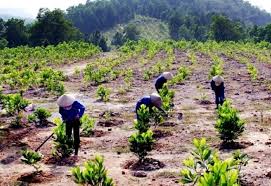 Nối các hình ảnh với tên các hoạt động nhằm phóng chống thiên tai ở vùng này.1.C. Xây dựng và hoàn thiện hệ thống thủy lợi.2.D. Trồng rừng.3.A. Dự báo thiên tai. (ảnh 1)