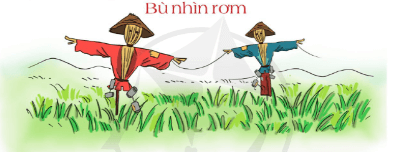  Người bằng rơm hay còn gọi là gì? (ảnh 1)