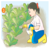 Quan sát tranh và cho biết các bạn trong tranh đang làm gì? (ảnh 1)