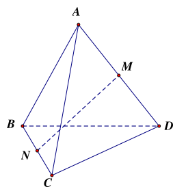 Tổng   −−→ A B + −−→ D C   bằng (ảnh 1)