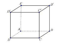  Khi đó, góc giữa vectơ   −−→ A B   và vectơ   −−→ A D  là: (ảnh 1)
