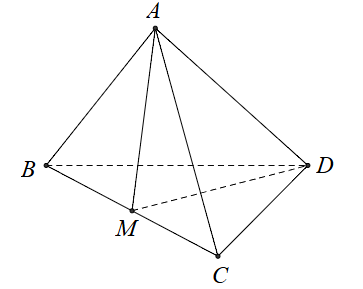 v (ảnh 1)