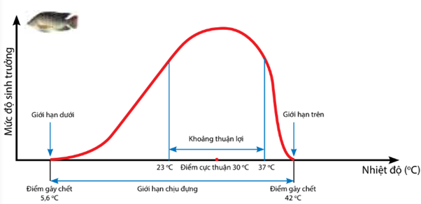  Quan sát sơ đồ giới hạn sinh thái của cá rô phi và cho biết giới hạn sinh thái nhiệt của cá rô phi là?  (ảnh 1)