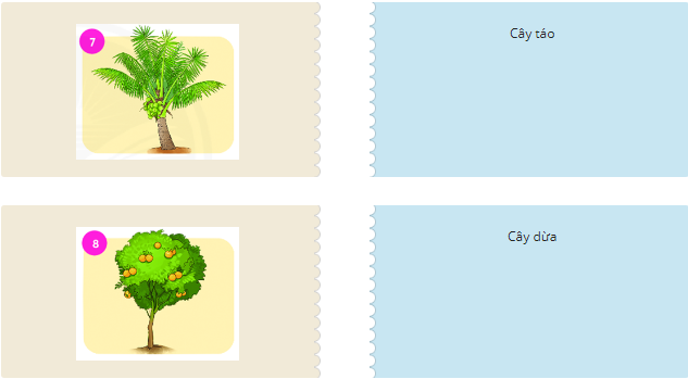 Tìm từ ngữ phù hợp với mỗi bức tranh (ảnh 1)