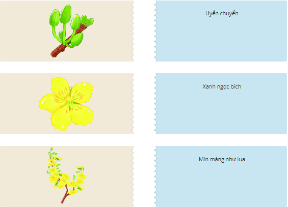 Ghép hình ảnh với từ ngữ tương ứng: (ảnh 1)