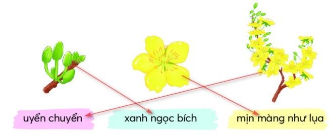 Ghép hình ảnh với từ ngữ tương ứng: (ảnh 2)