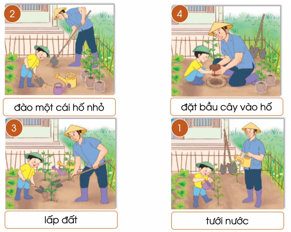 Để trồng cây cần có mấy bước? (ảnh 1)