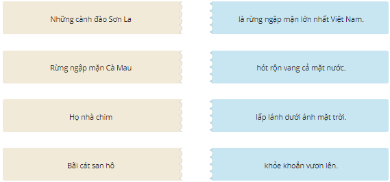 Ghép các mảnh ghép để được các kết hợp đúng: (ảnh 1)