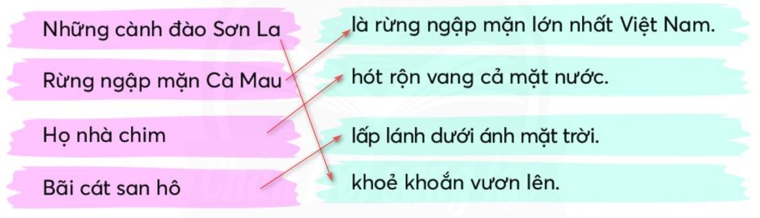 Ghép các mảnh ghép để được các kết hợp đúng: (ảnh 2)