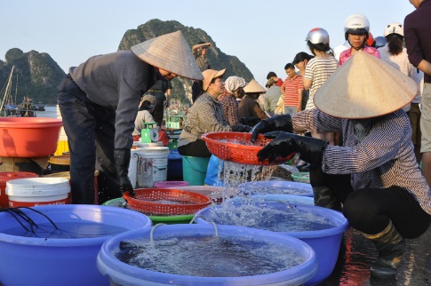 Tìm từ ngữ chỉ hoạt động không xuất hiện trong bức tranh? (ảnh 1)