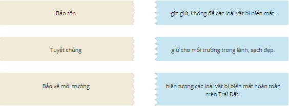 Ghép các mảnh ghép để được những kết hợp có lí: (ảnh 1)