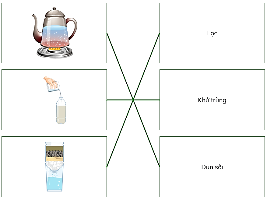 Ghép nối các thông tin ở hai cột dưới đây sao cho phù hợp. (ảnh 2)