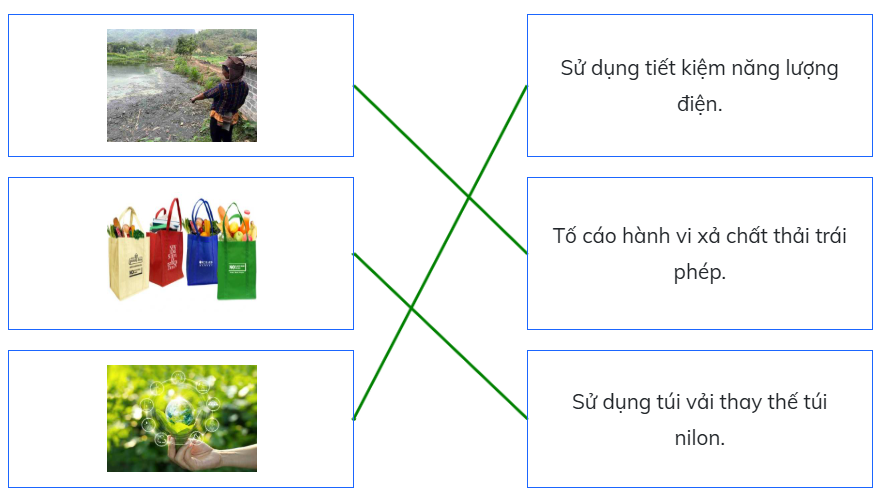 Nối chọn đáp án đúng. (ảnh 2)