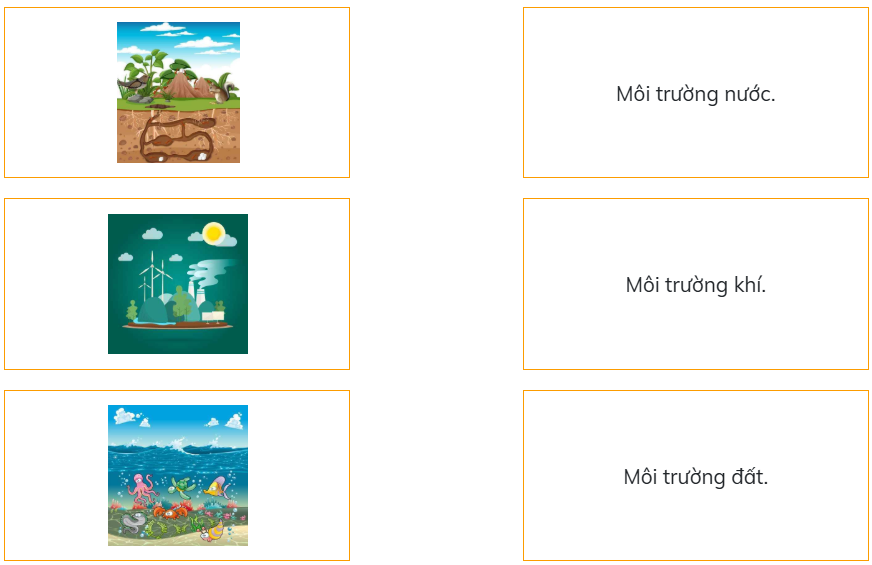 Nối chọn đáp án đúng. (ảnh 1)