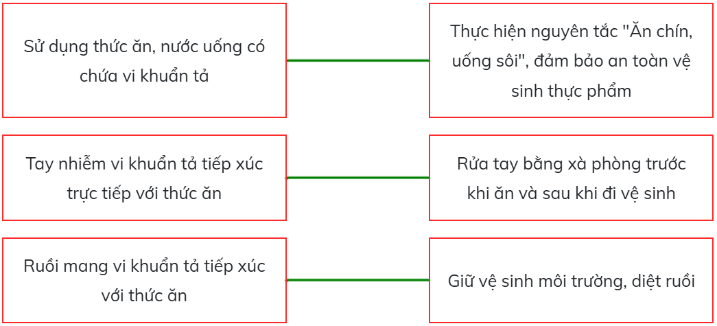 Ghép nối nguyên nhân gây bệnh tả ở cột bên trái với những biện pháp phòng tránh  (ảnh 2)