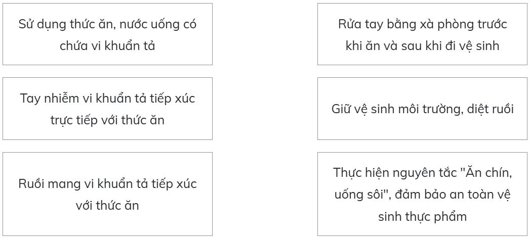 Ghép nối nguyên nhân gây bệnh tả ở cột bên trái với những biện pháp phòng tránh bệnh tả tương ứng ở cột bên phải. (ảnh 1)
