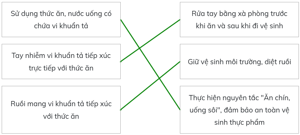 Ghép nối nguyên nhân gây bệnh tả ở cột bên trái với những biện pháp phòng tránh bệnh tả tương ứng ở cột bên phải. (ảnh 2)