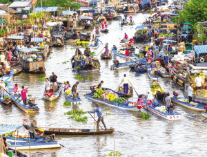 Chọn đáp án đúng. (ảnh 2)