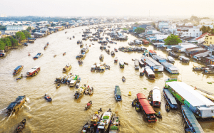 Chọn đáp án đúng. (ảnh 3)