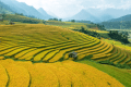 Chọn từ đúng để điền vào chỗ trống.Nêu tên một số cách thức khai thác tự nhiên của người dân vùng Trung du và miền núi Bắc Bộ.………………………………………………Xây dựng công trình thuỷ điệnKhai thác khoáng s (ảnh 1)