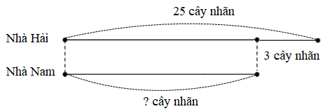 Con hãy điền từ / cụm từ/ số thích hợp vào các ô trốngĐiền số thích hợp vào ô trống.Vườn nhà Hải có 25 cây nhãn. Vườn nhà Hải có nhiều hơn vườn nhà Nam 3 cây nhãn. Vậy vườn nhà Nam có ….. cây (ảnh 1)