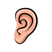  Look and choose: NOSE (ảnh 3)
