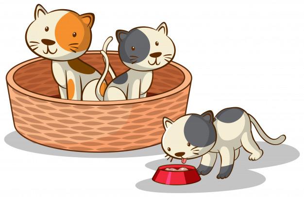  Choose the appropriate personal pronoun for the picture below.…........... are so cute. (ảnh 1)