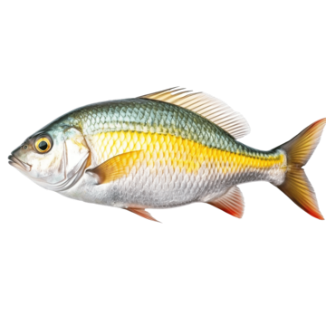  Nối: 1. a. 2. b.  (ảnh 1)