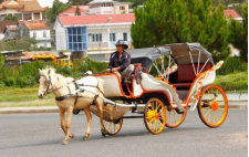  Điền vào chỗ trống:  …e ngựa (ảnh 1)