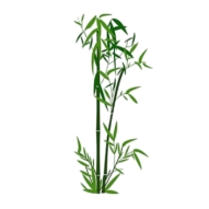 Điền từ còn thiếu:  Bụi ….e (ảnh 1)