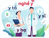  Bức tranh sau có mấy chữ y?  (ảnh 1)