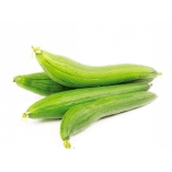  Đây là gì?  m…. (ảnh 1)