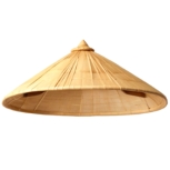  Điền vần vào chỗ trống:  n… lá (ảnh 1)