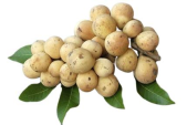  Nối từ với hình ảnh tương ứng.1. a. nhào lộn2.  b. bàn tròn3. c. bòn bon (ảnh 2)