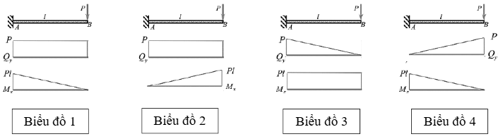  Hãy cho biết biểu đồ nội lực nào sau đây là đúng?   (ảnh 1)