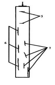 Cột bê tông cốt thép toàn khối xuất hiện các vết nứt được đánh số thứ tự như hình dưới đây:Kết luận có thể có các nguyên nhân gây ra vết nứt số 6 như sau: (ảnh 1)