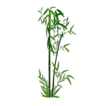  Điền từ còn thiếu:  Bụi ….e (ảnh 1)
