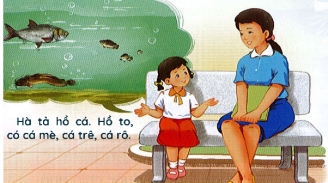  Hà tả hồ có mấy loại cá?   (ảnh 1)