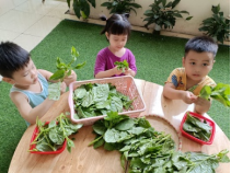  Các bạn học sinh trong bức ảnh đang làm gì?  (ảnh 1)
