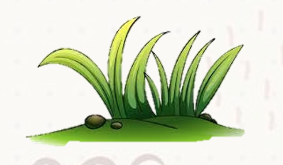  Nối từ với hình ảnh tương ứng 1. a. cỏ2.  b. bò3. c. cá (ảnh 3)