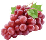  Điền vào chỗ trống: o (ảnh 1)