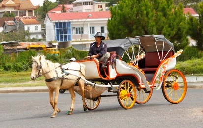 Điền vào chỗ trống: …e ngựa (ảnh 1)