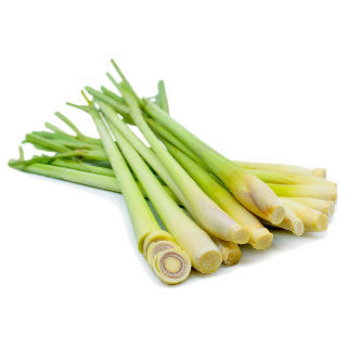  Đây là gì?  (ảnh 1)