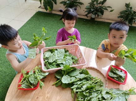  Các bạn học sinh trong bức ảnh đang làm gì? (ảnh 1)